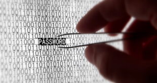 From Leaked Passwords to Dark Web Dumps: How OSINT Can Limit Breach Fallout